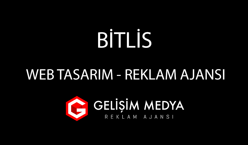 Bitlis Web Tasarım 